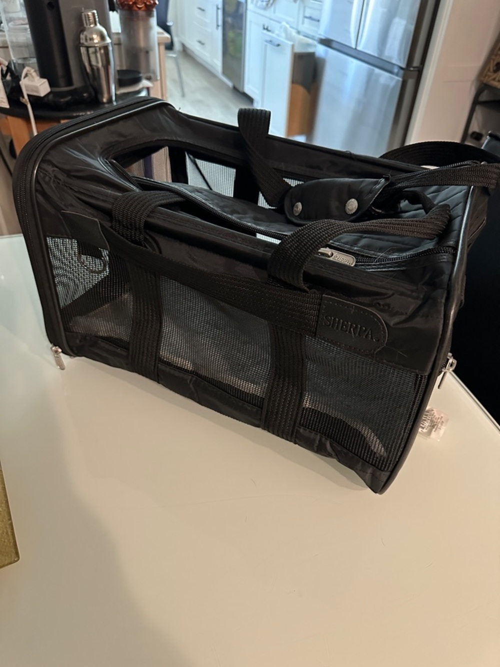 Black Soft-Sided Pet Carrier - Ventilated Travel Tote
